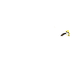 PA电子